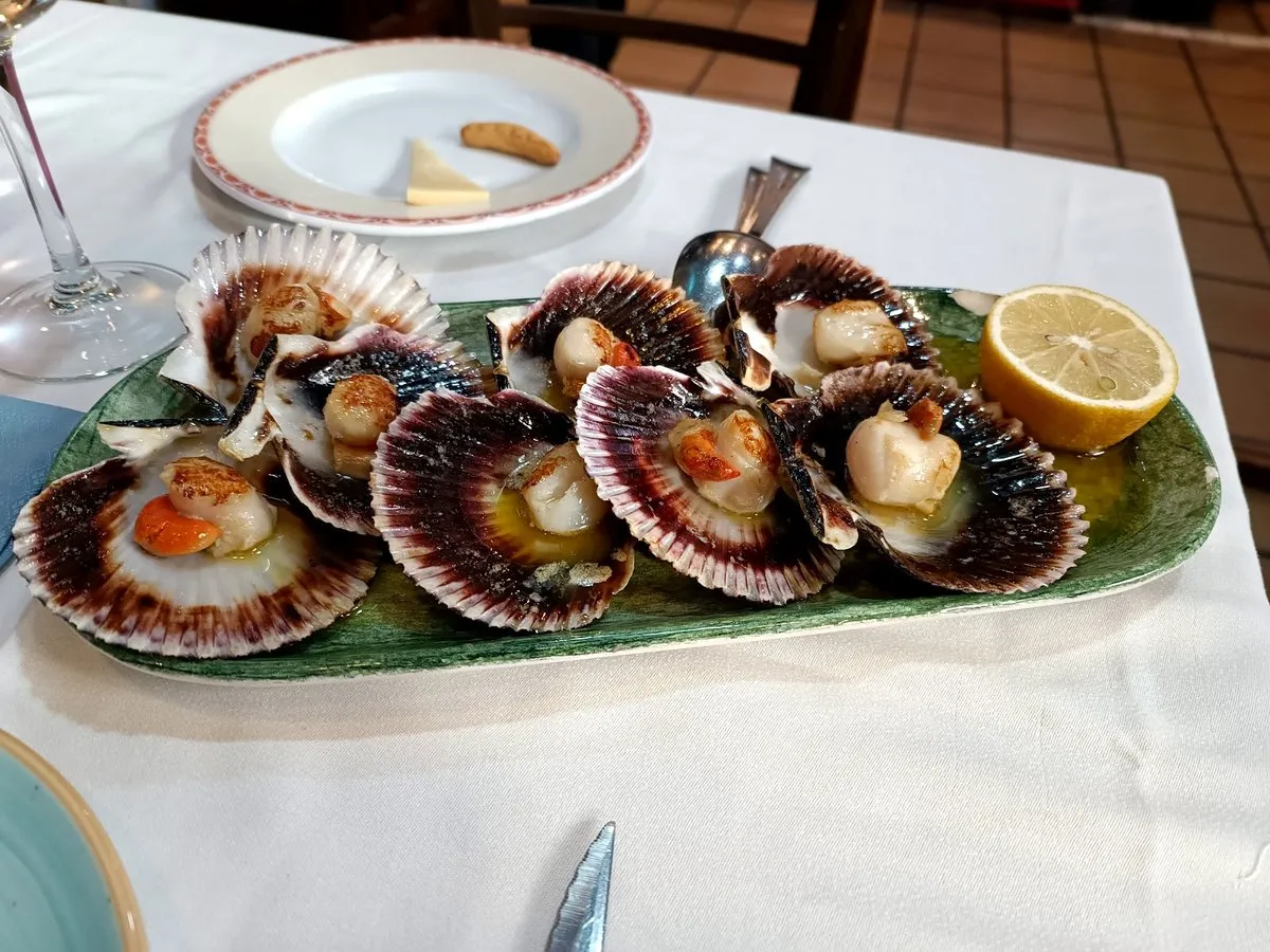 Bar Pulpo — foto 4