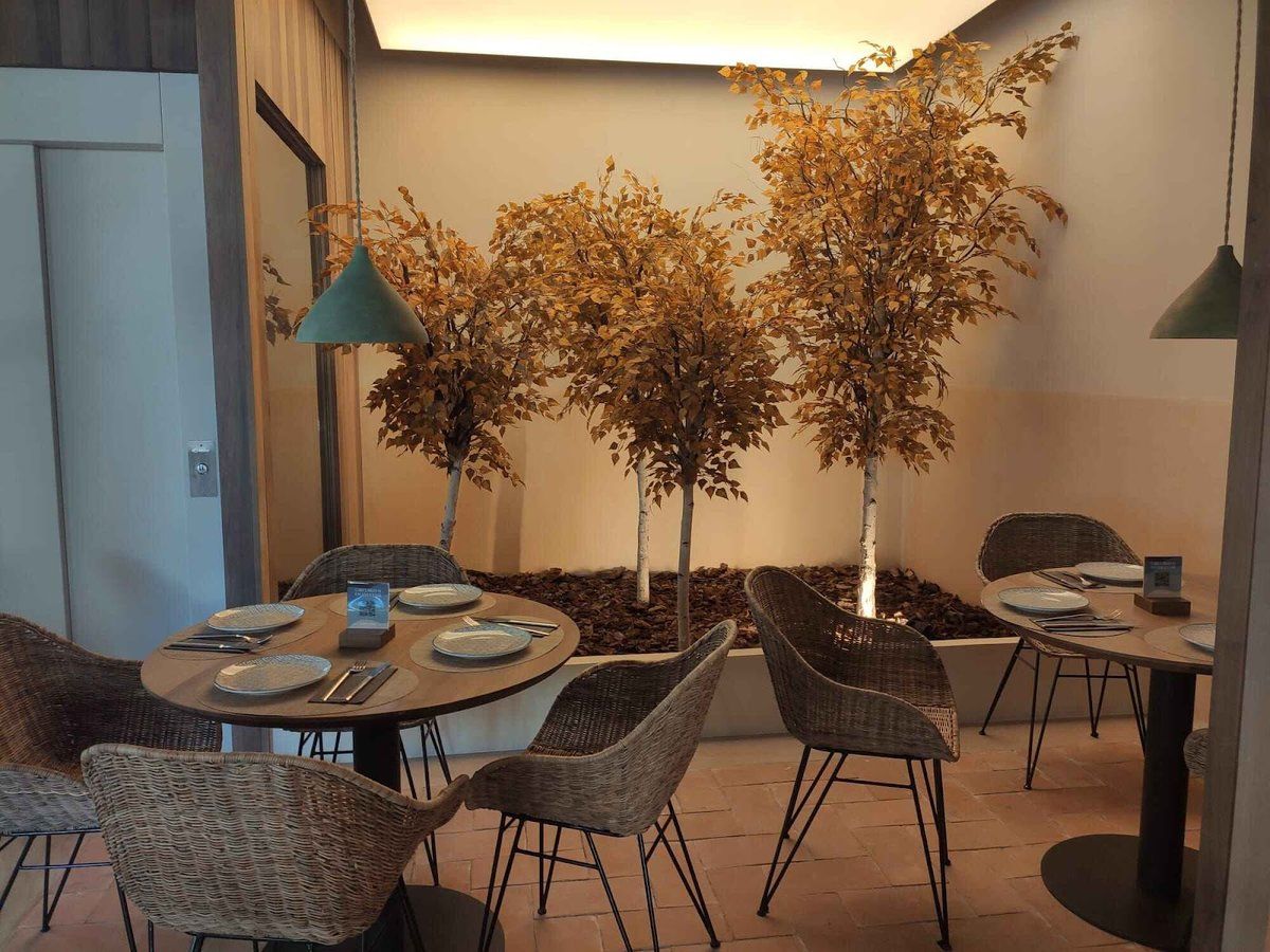 Saona Chamberí — cocina española tradicional — menú del día en Madrid