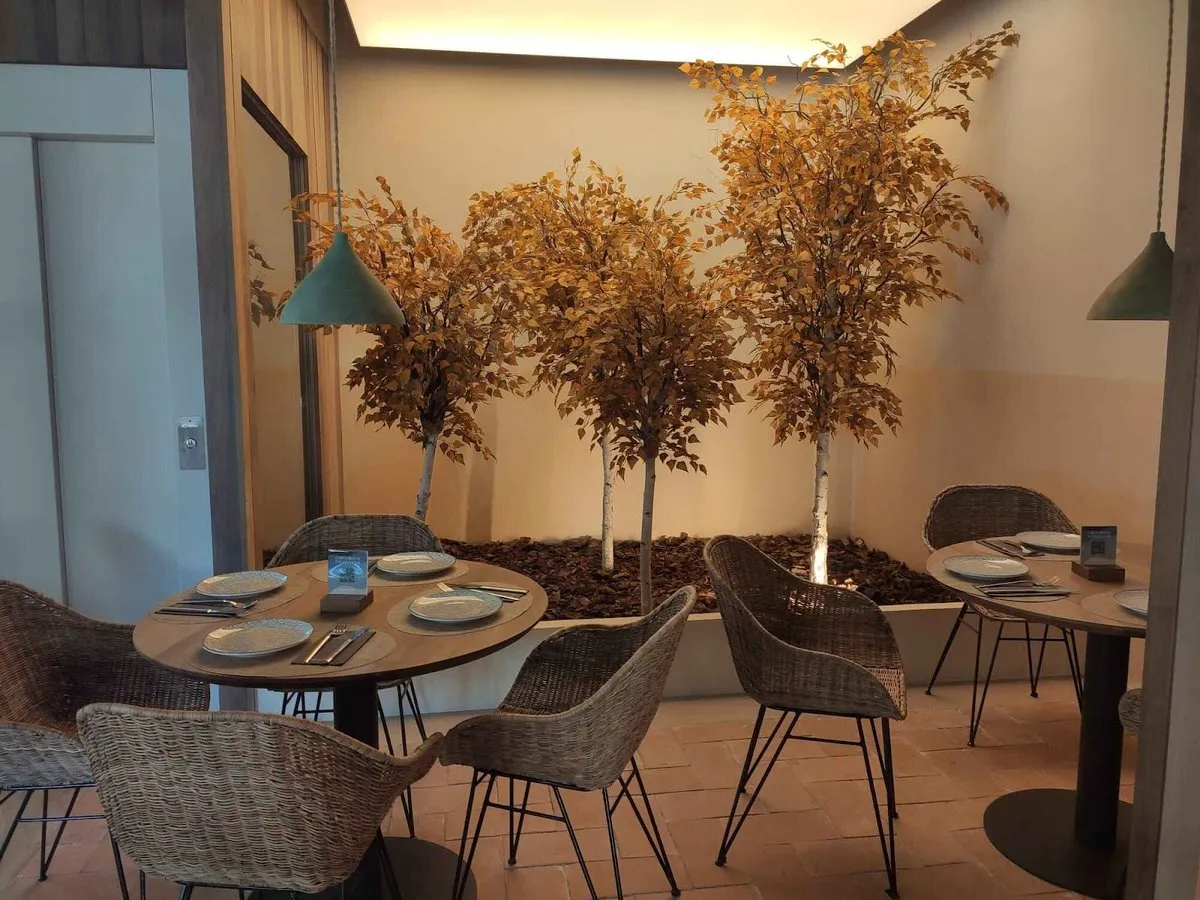 Saona Chamberí — cocina española tradicional — menú del día en Madrid